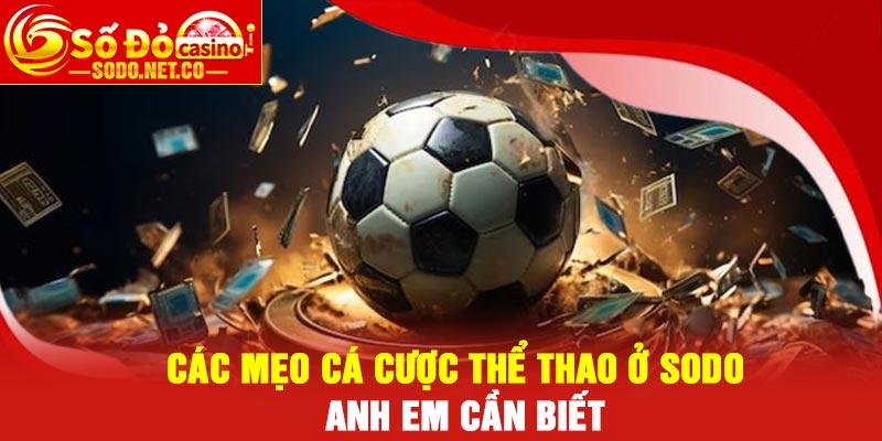 Các mẹo cá cược thể thao ở Sodo anh em cần biết
