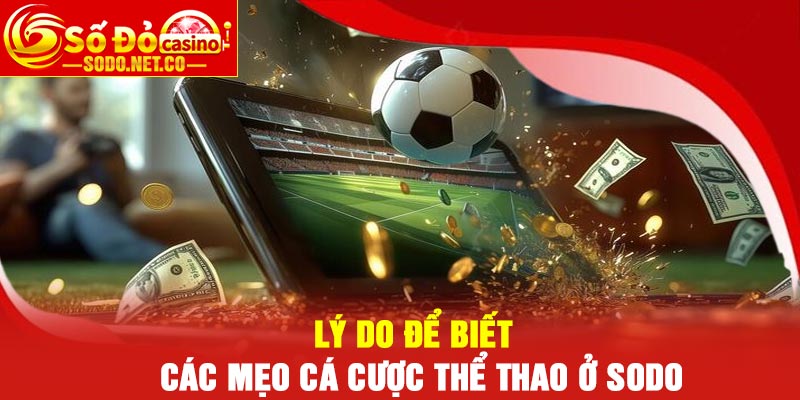 Lý do để biết các mẹo cá cược thể thao ở Sodo