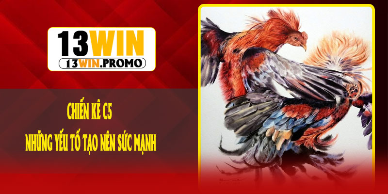 Chiến kê C5 và những yếu tố tạo nên sức mạnh
