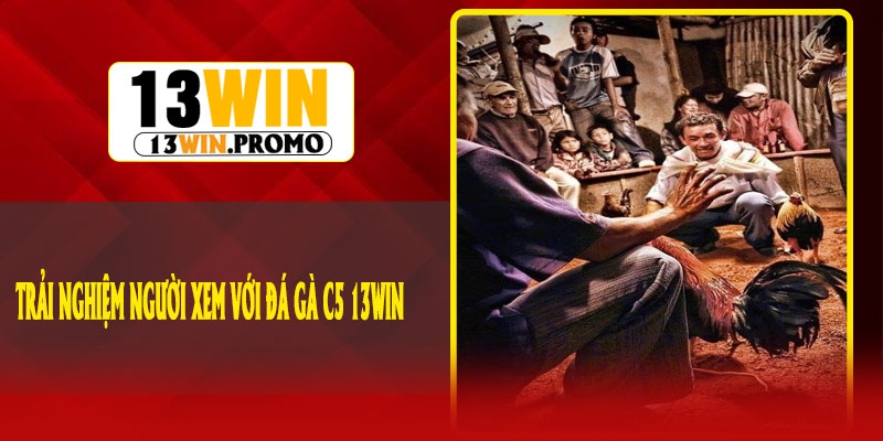 Trải nghiệm người xem với Đá Gà C5 13Win
